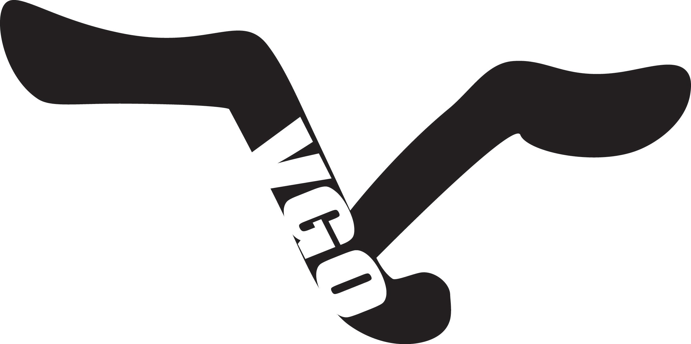 WHAT IS A "VGO"?