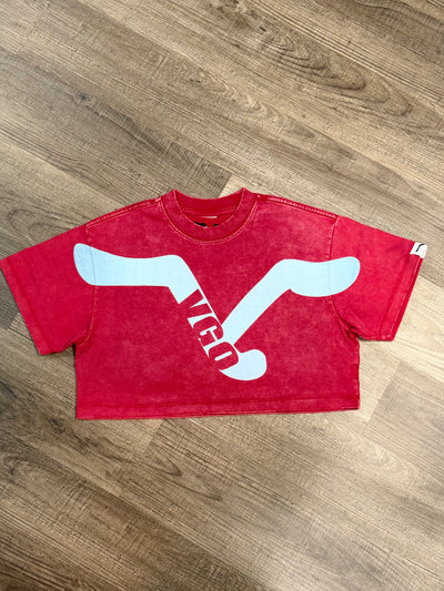 "Spread My Wings" Vintage Cropped Staple Tee